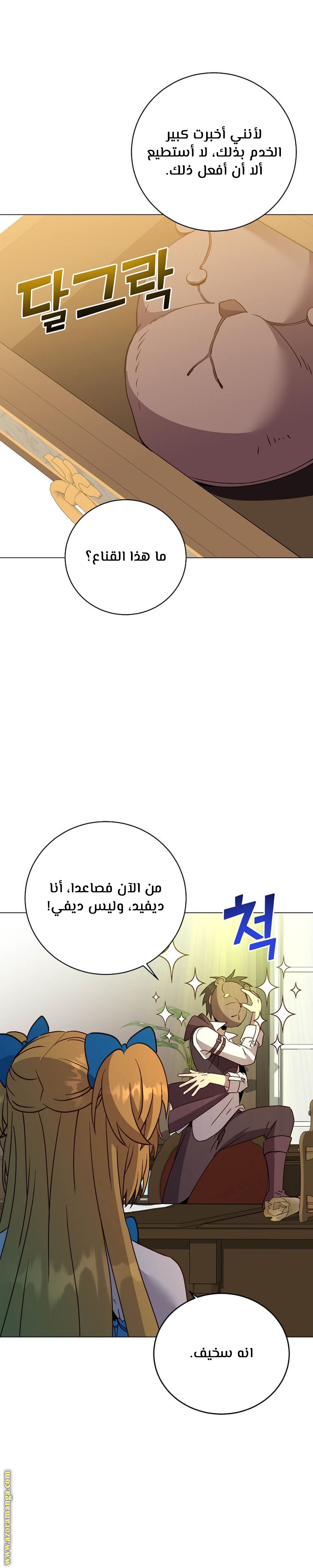 الصفحة 13