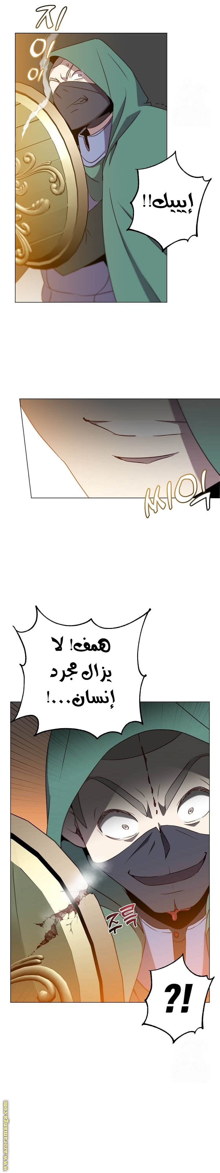 الصفحة 12