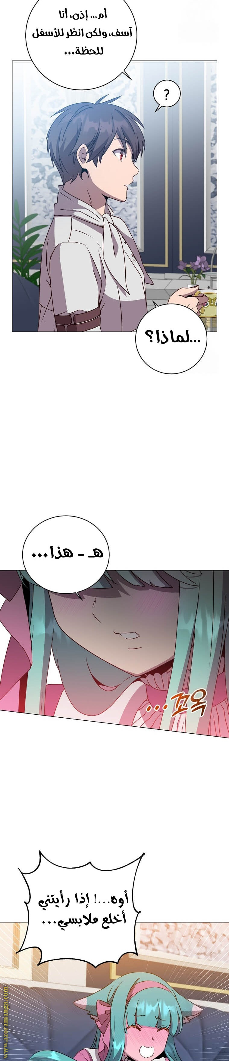 الصفحة 13