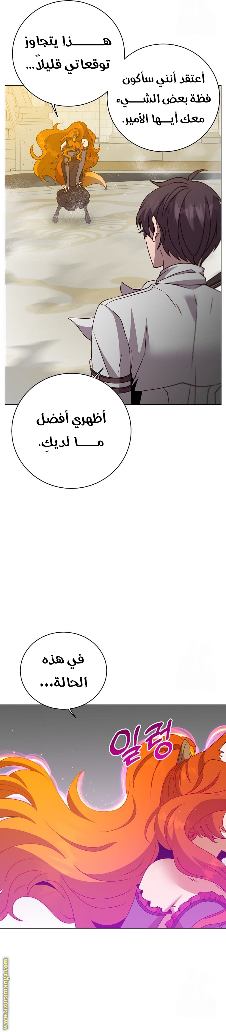 الصفحة 13