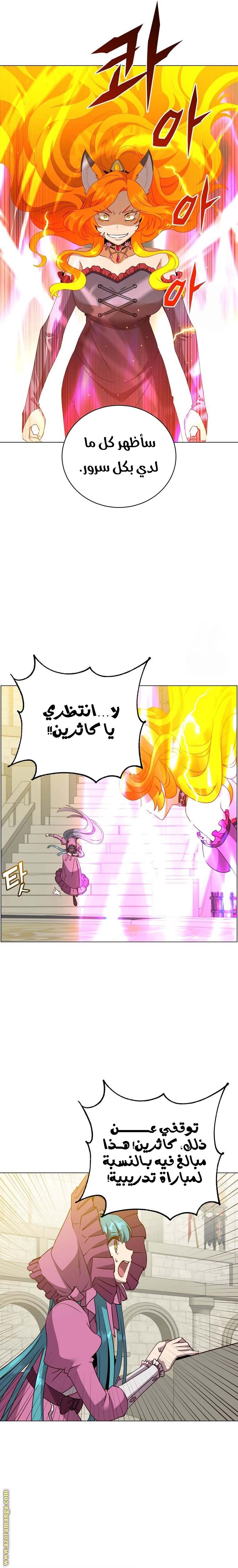 الصفحة 14