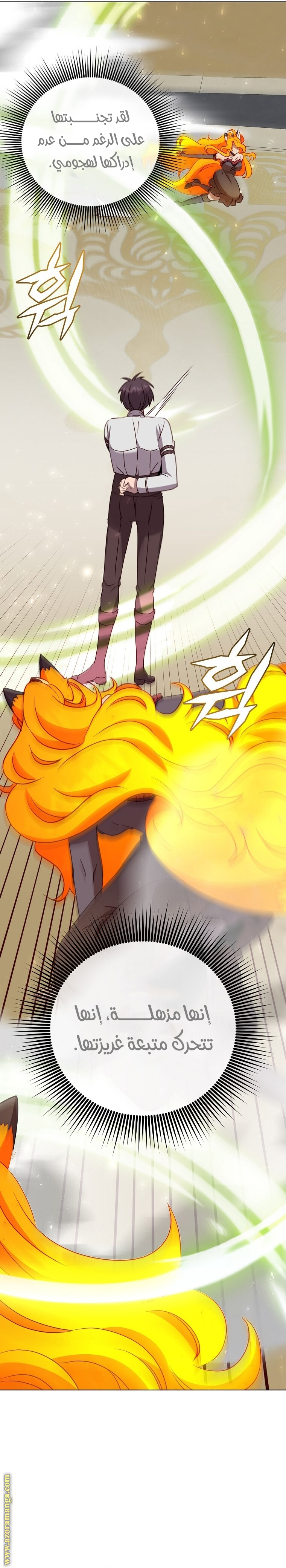 الصفحة 21