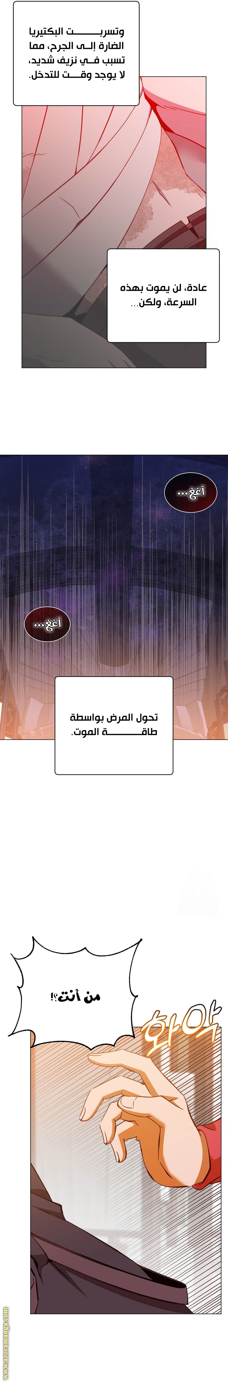 الصفحة 14