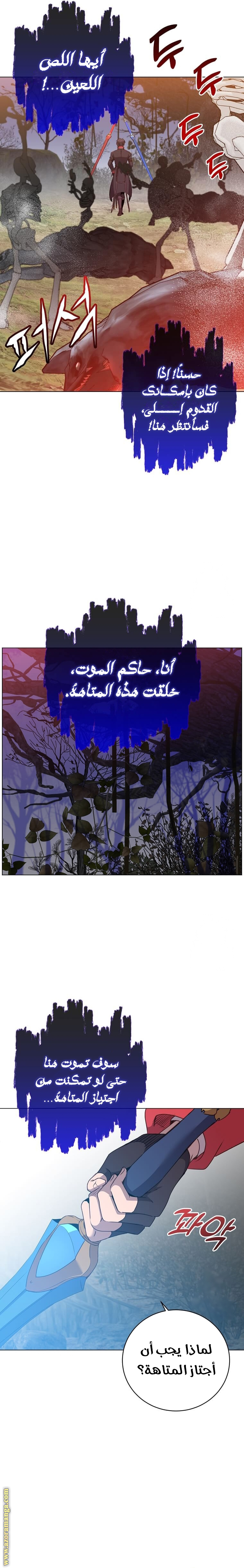 الصفحة 17