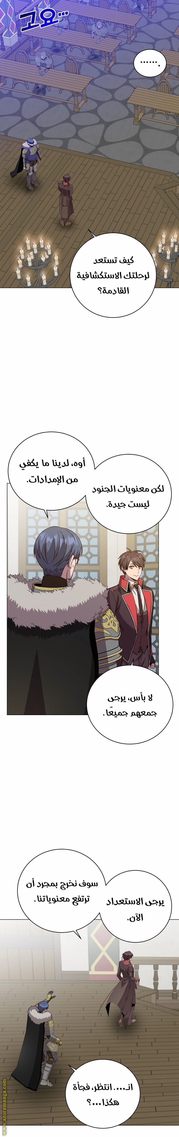 الصفحة 17