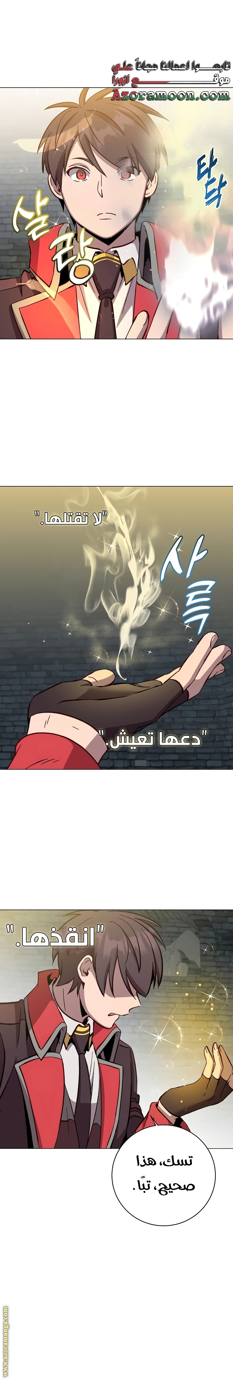الصفحة 13
