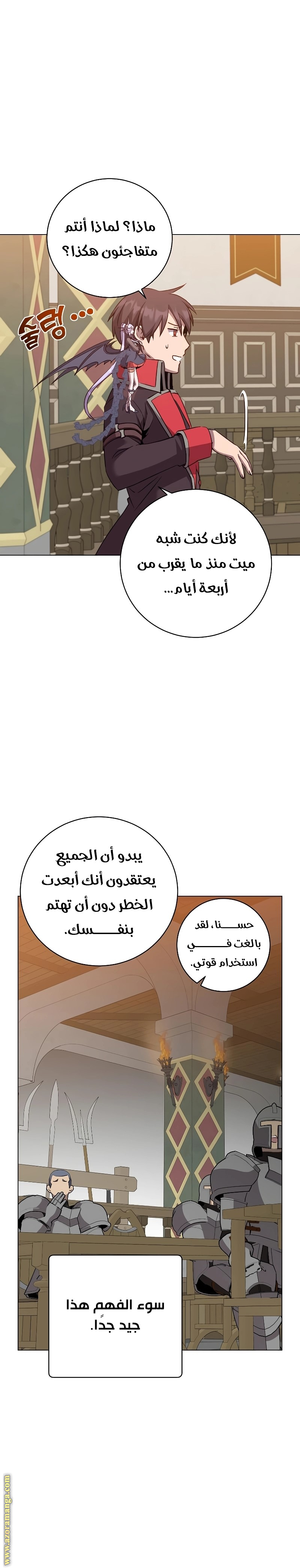 الصفحة 17