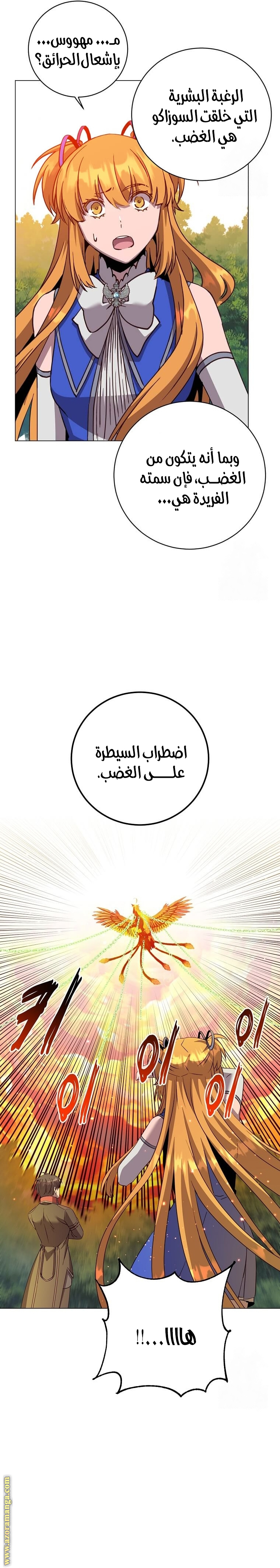 الصفحة 12