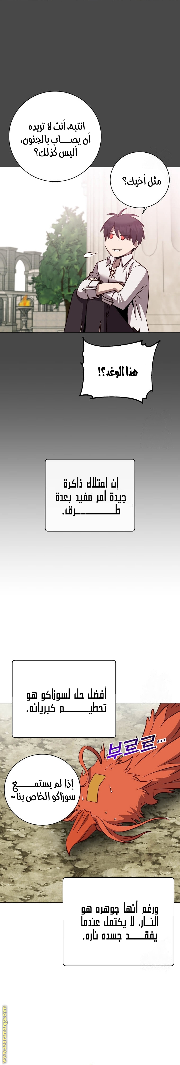 الصفحة 17