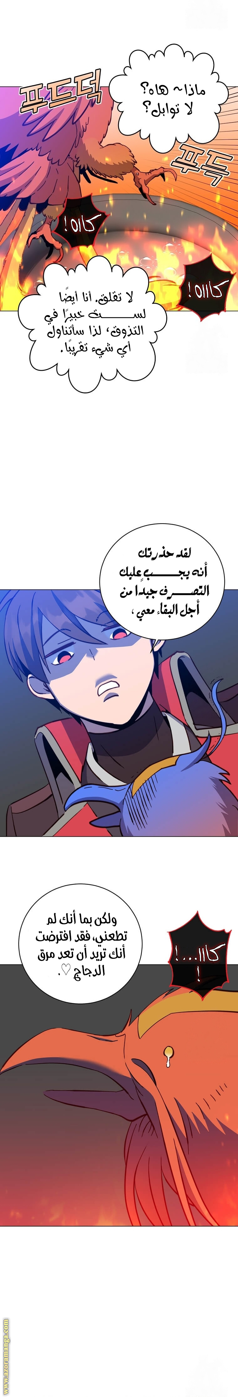 الصفحة 19
