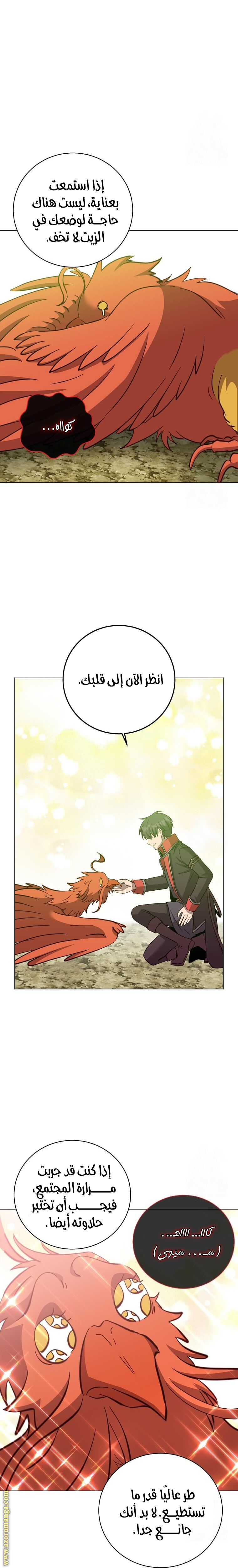 الصفحة 21