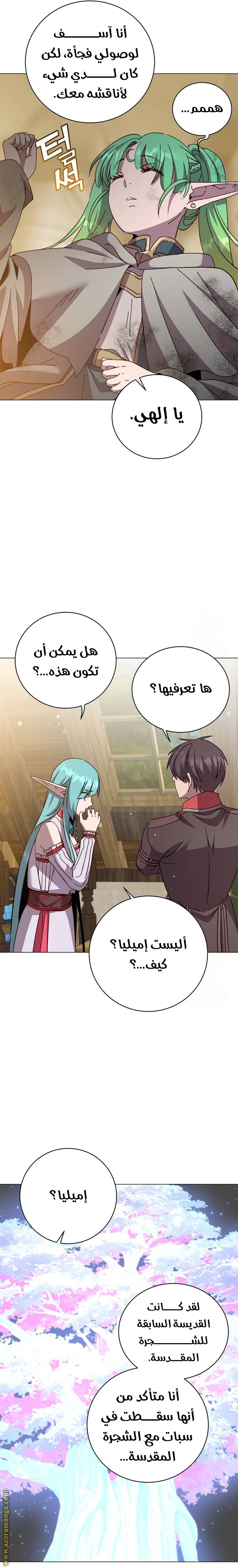الصفحة 17