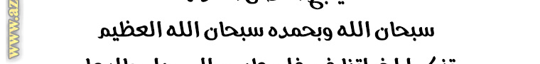 الصفحة 32