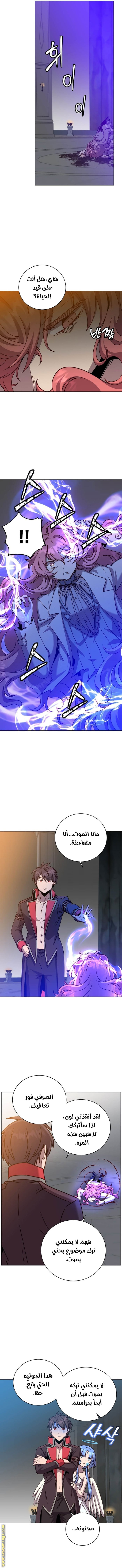 الصفحة 3