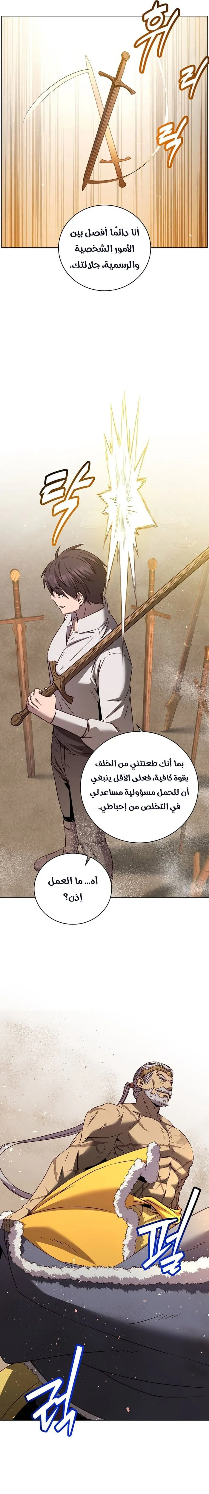 الصفحة 17