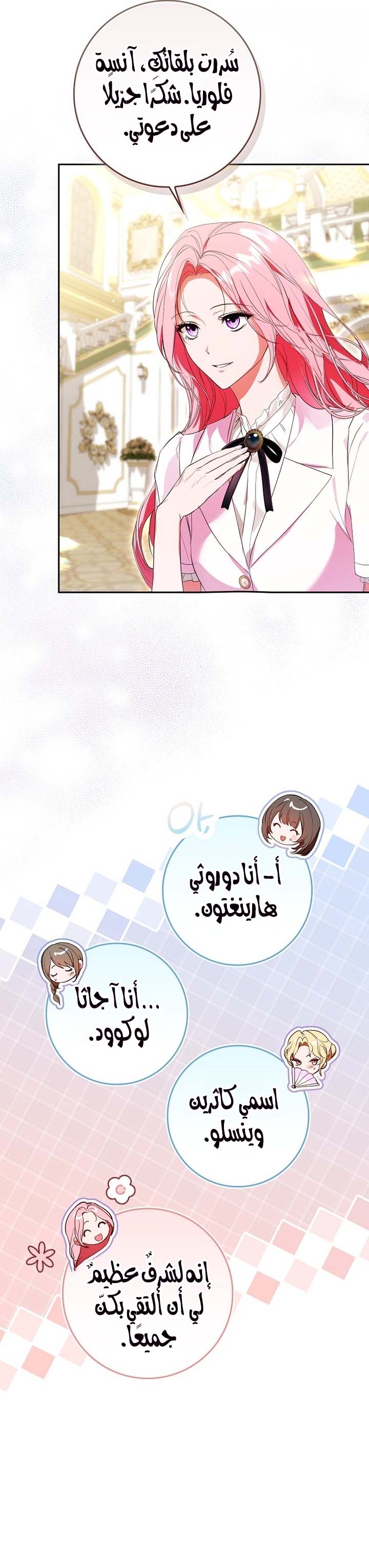 الصفحة 17