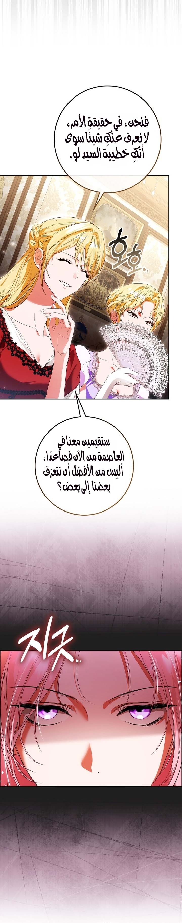 الصفحة 20