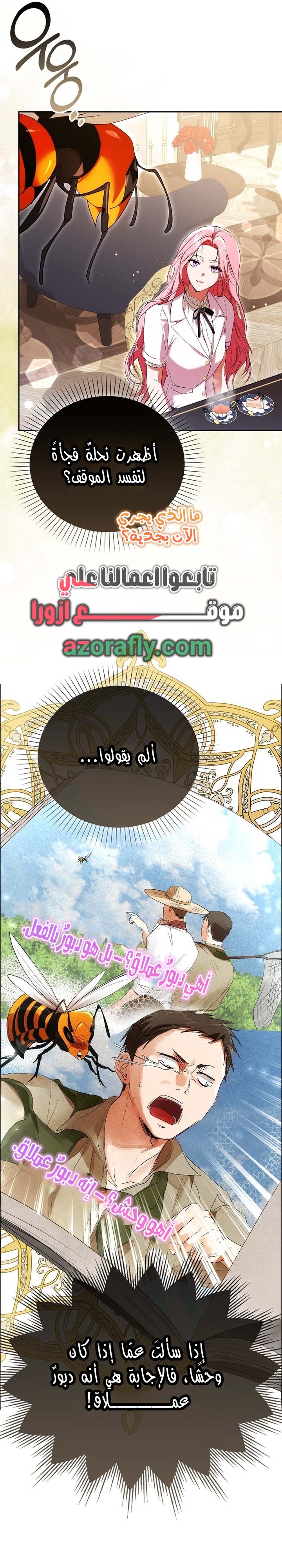 الصفحة 26