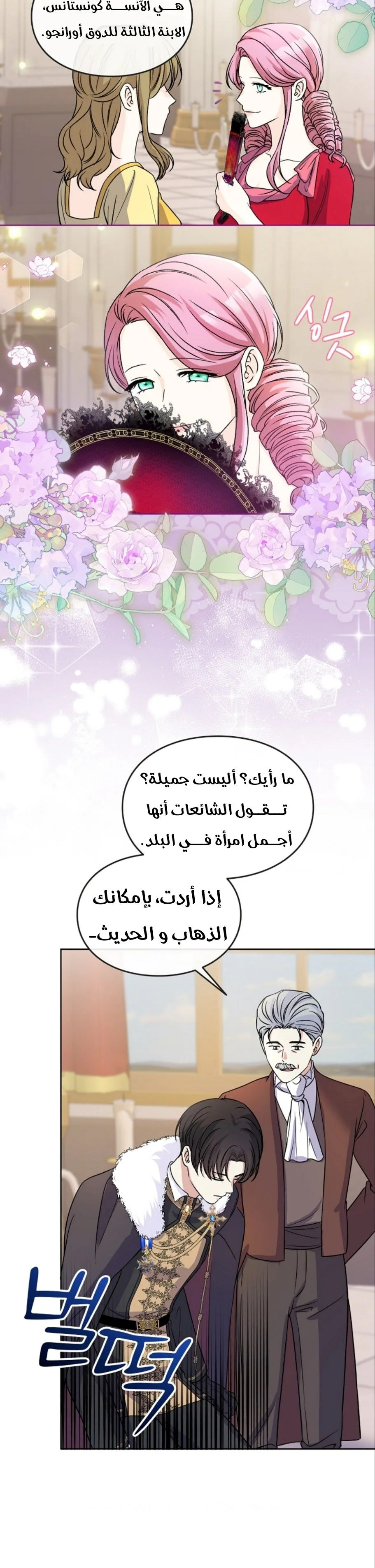 الصفحة 17