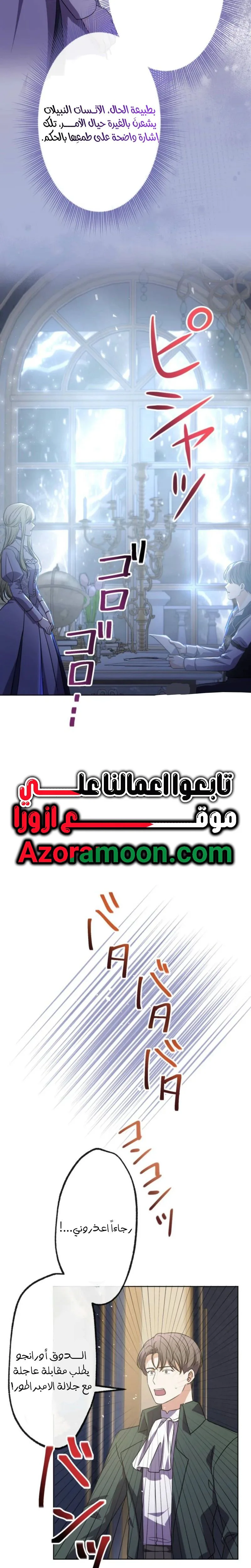 الصفحة 31