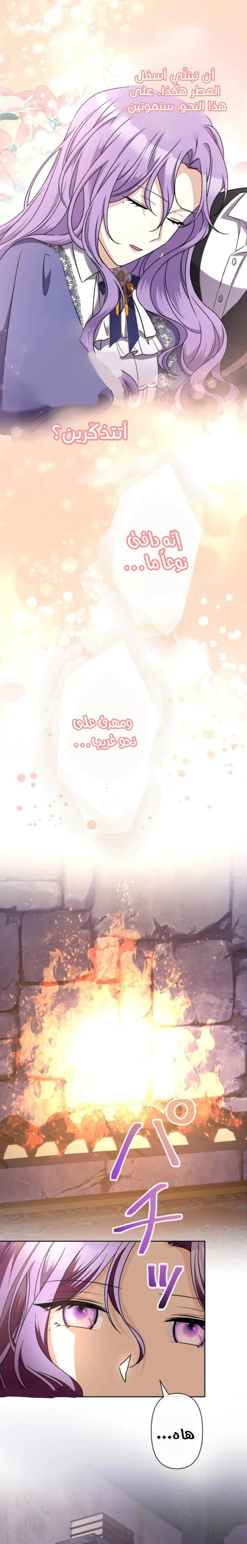 الصفحة 26