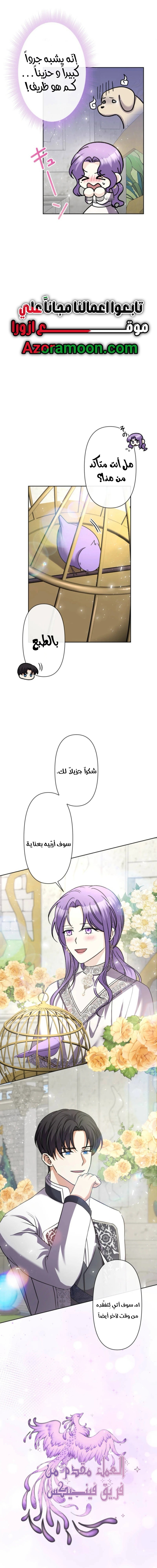 الصفحة 12