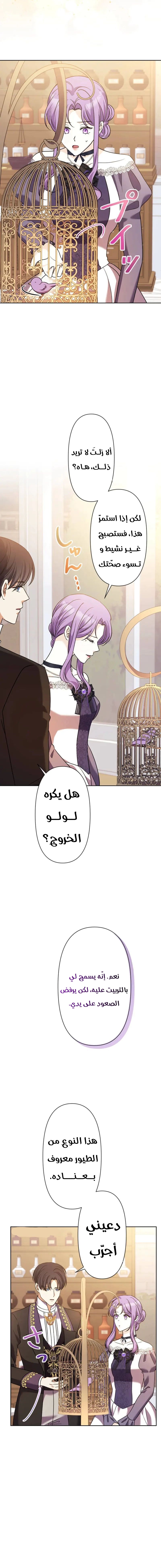 الصفحة 14
