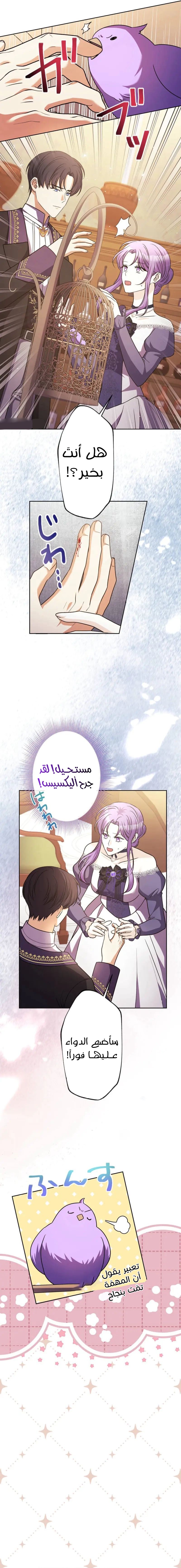 الصفحة 15