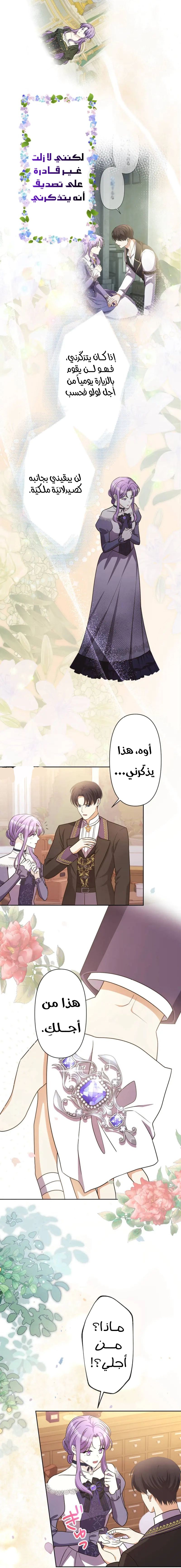 الصفحة 17