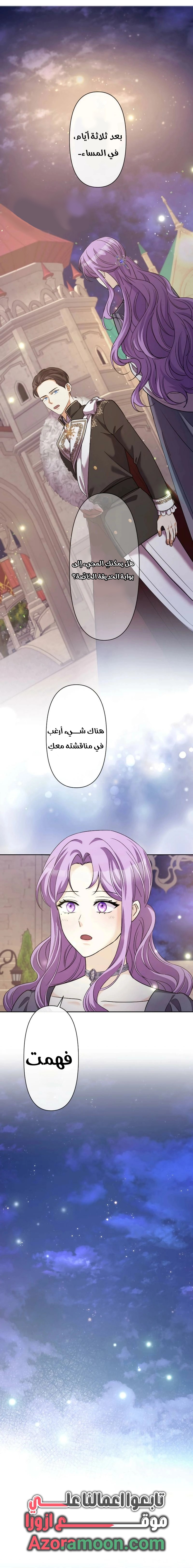 الصفحة 17
