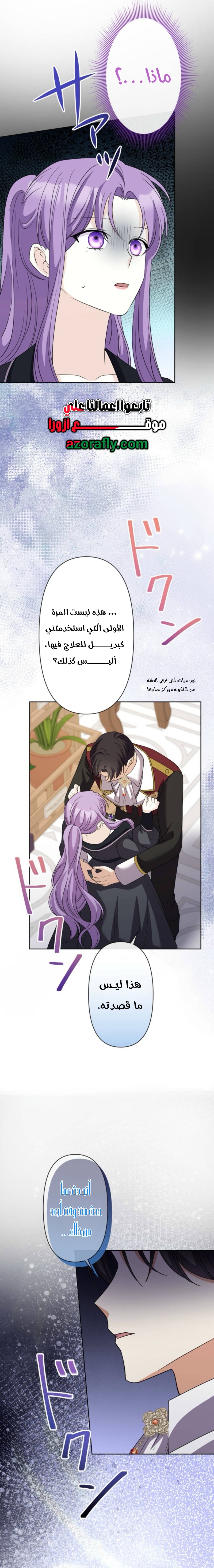الصفحة 12