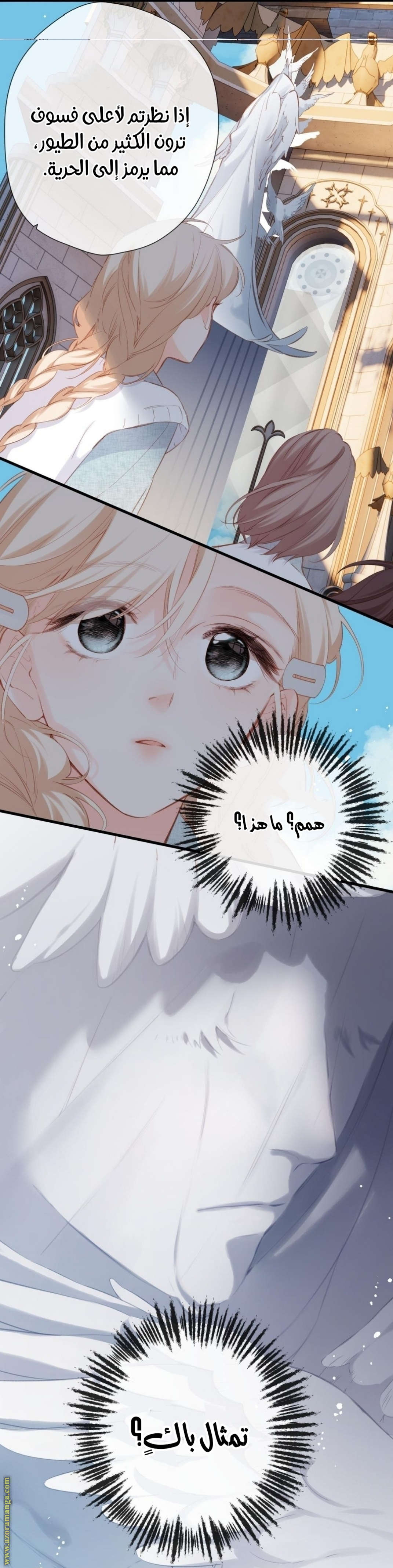 الصفحة 14