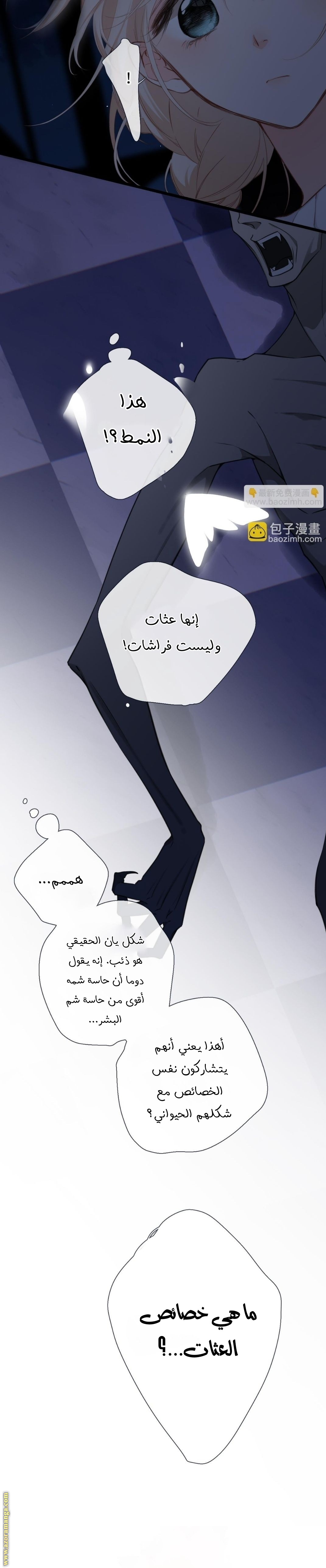الصفحة 8