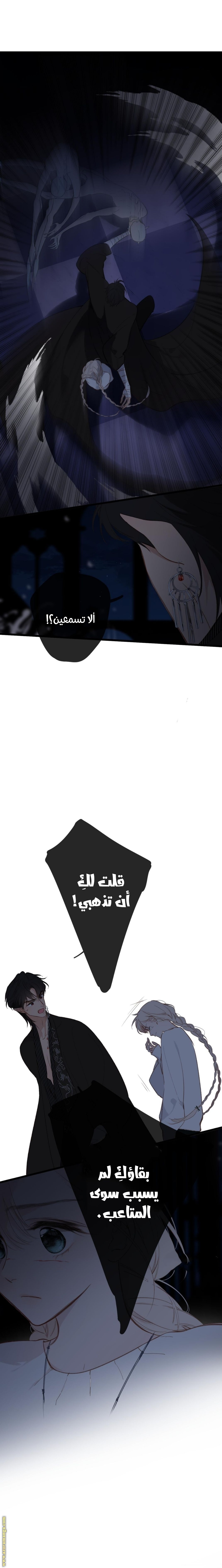 الصفحة 12