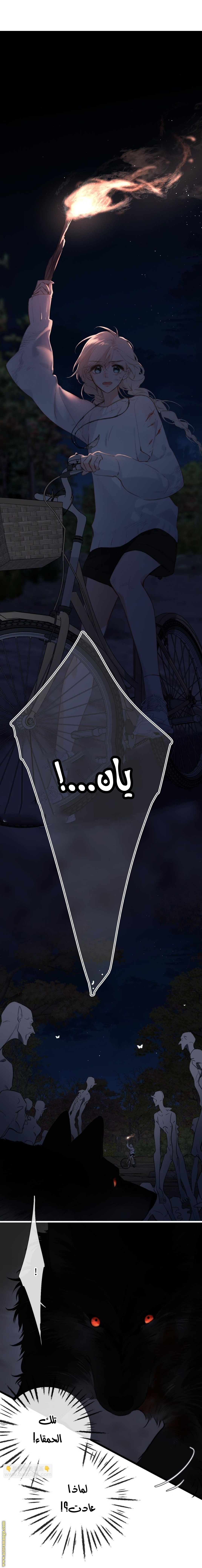 الصفحة 2