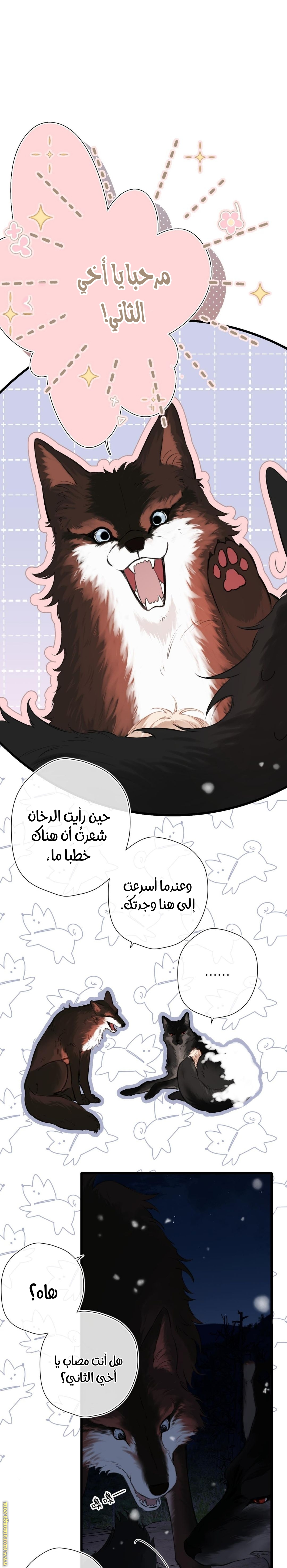 الصفحة 2