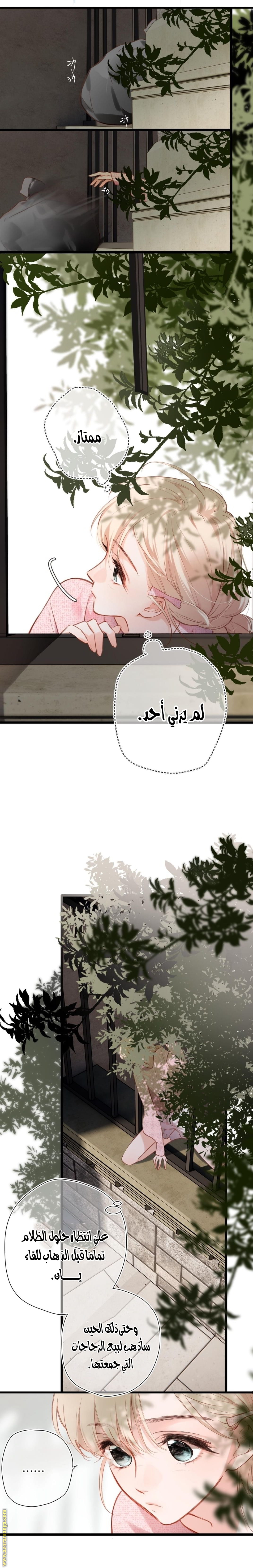 الصفحة 8