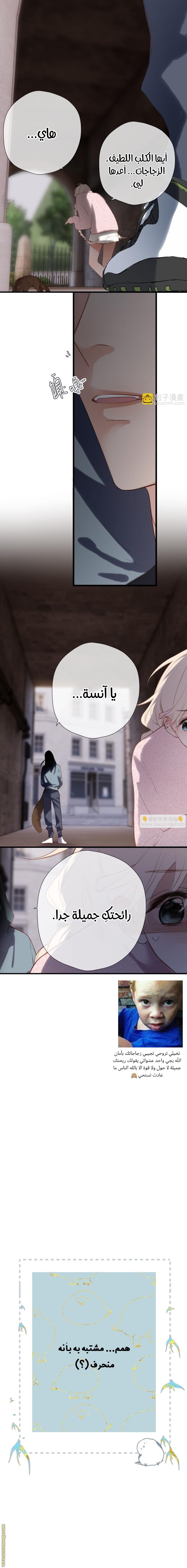 الصفحة 10