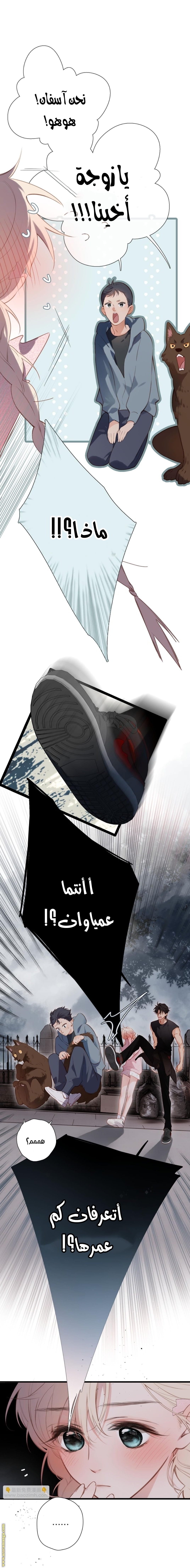 الصفحة 2