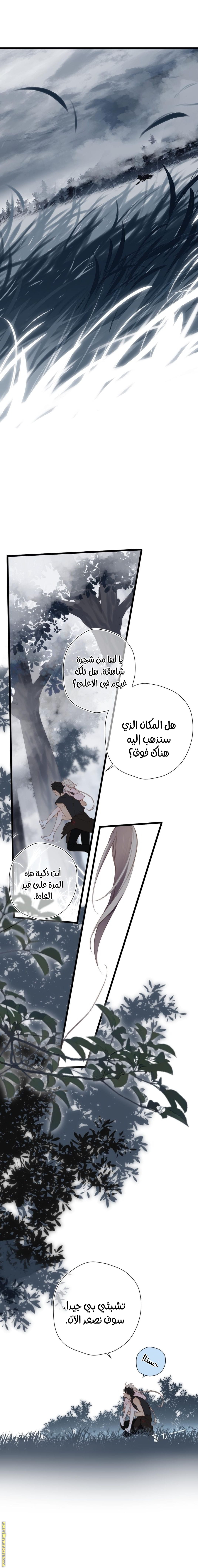 الصفحة 11