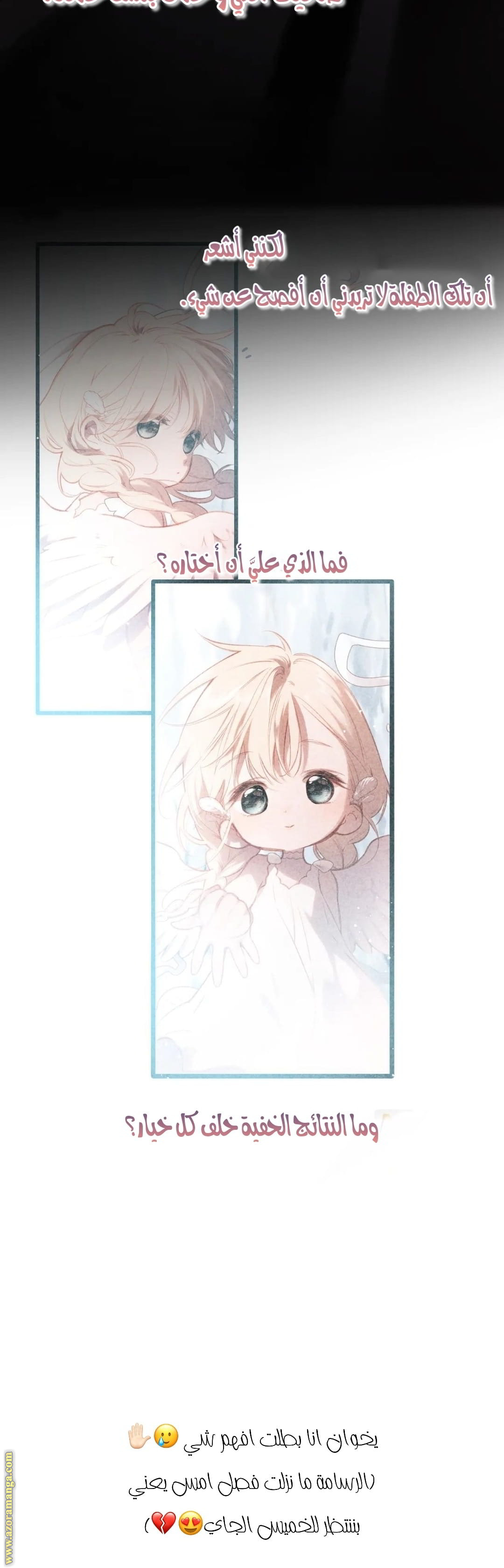الصفحة 17