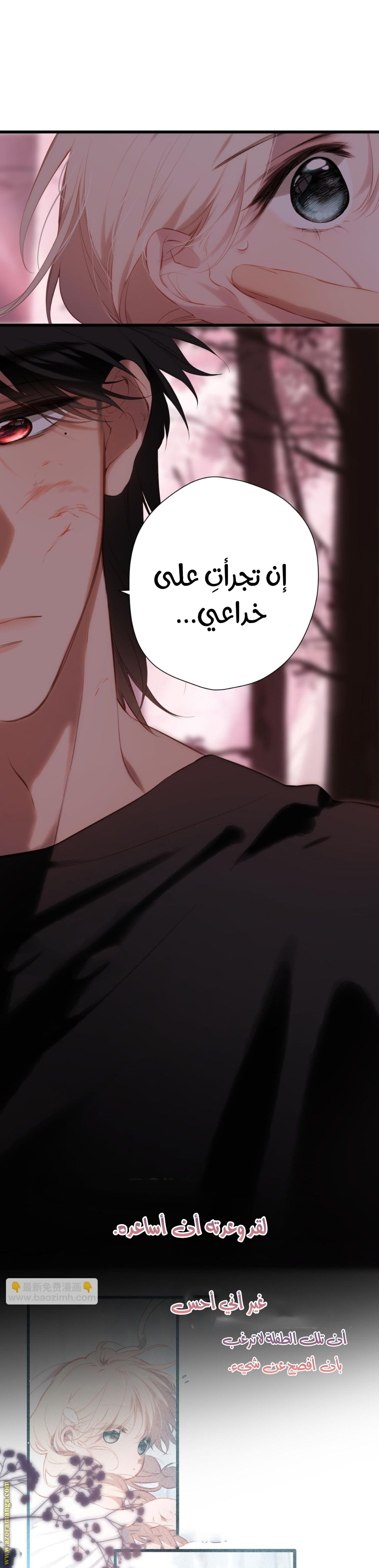 الصفحة 2