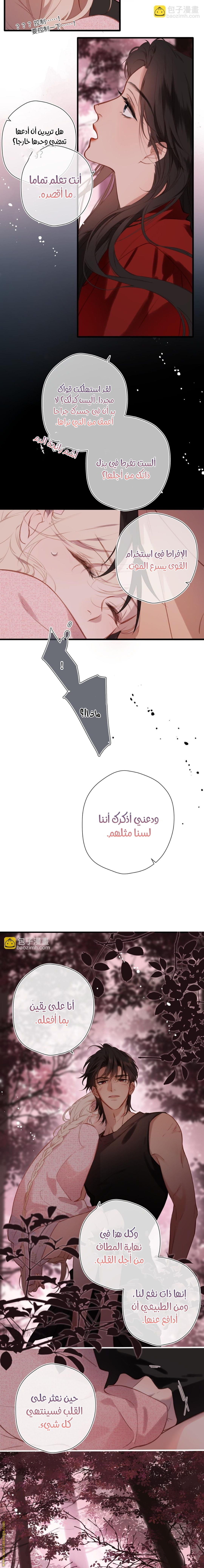 الصفحة 8