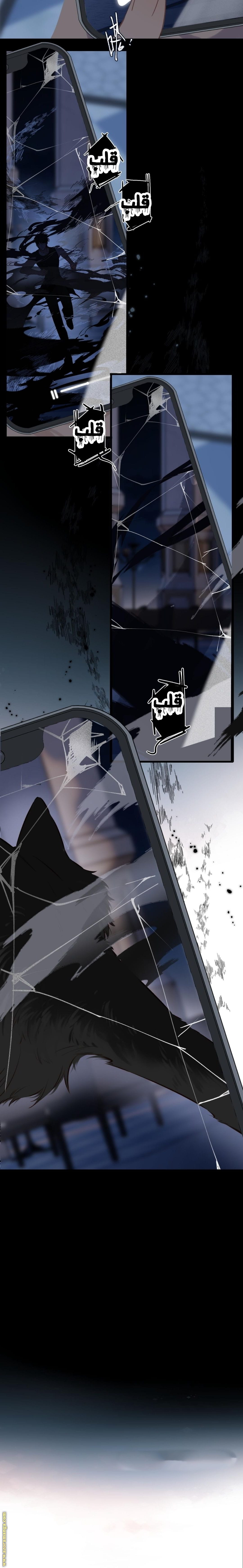 الصفحة 11