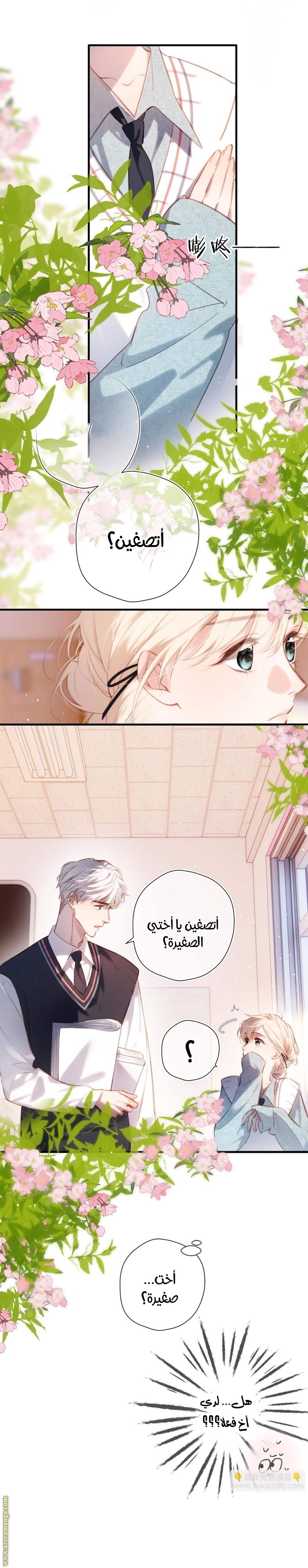 الصفحة 12