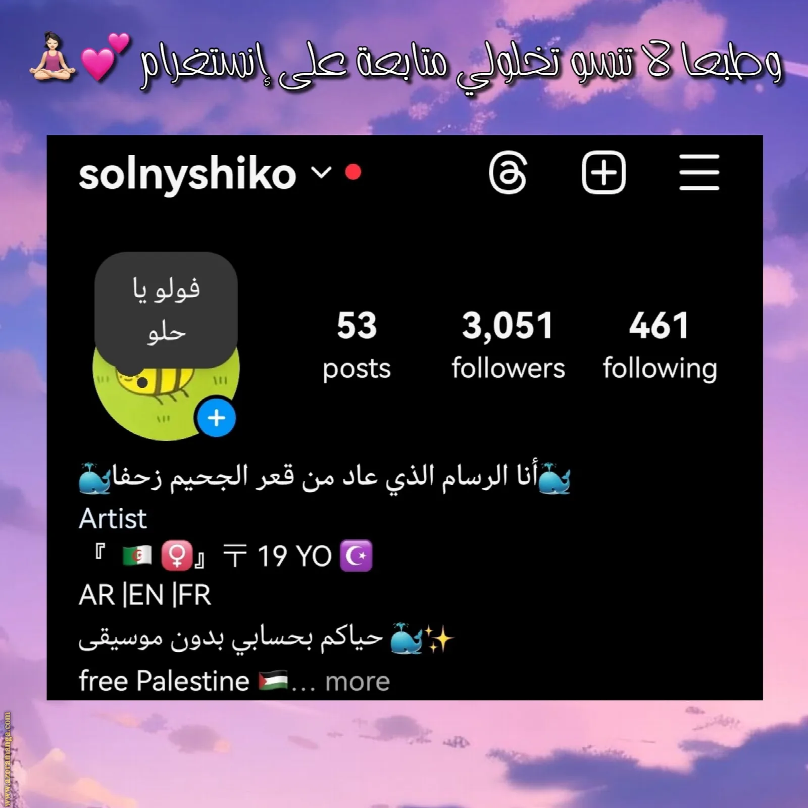 الصفحة 13