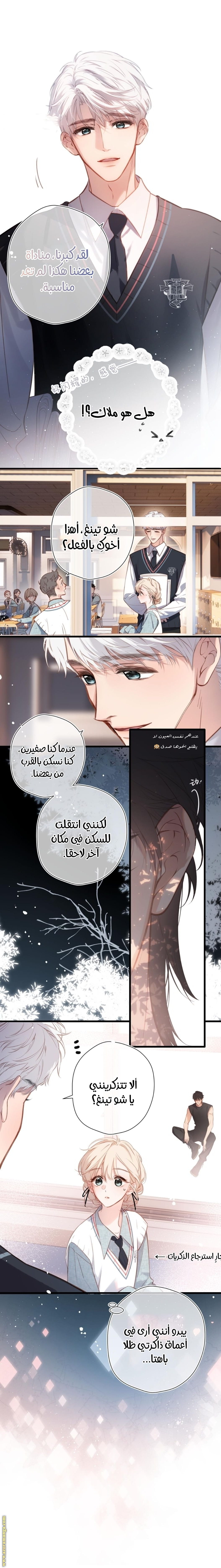 الصفحة 3