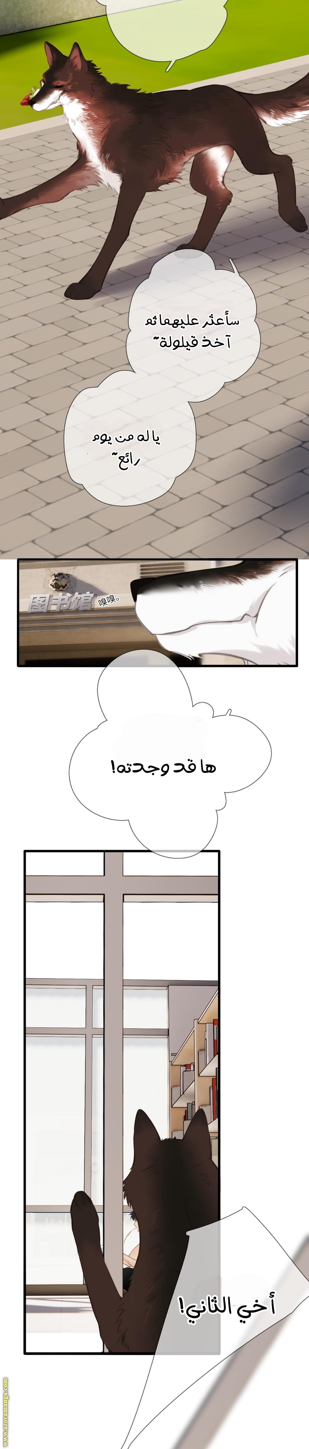 الصفحة 15