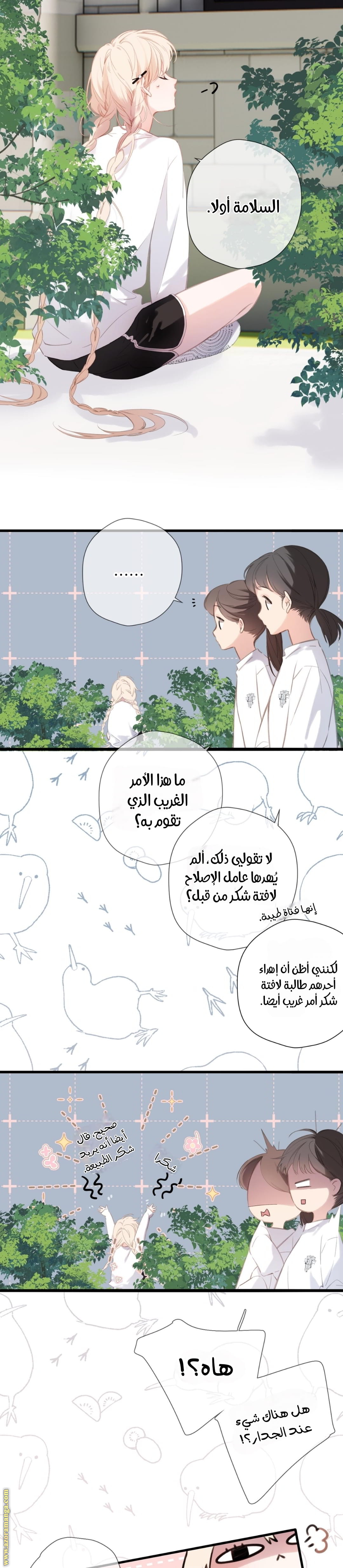 الصفحة 11