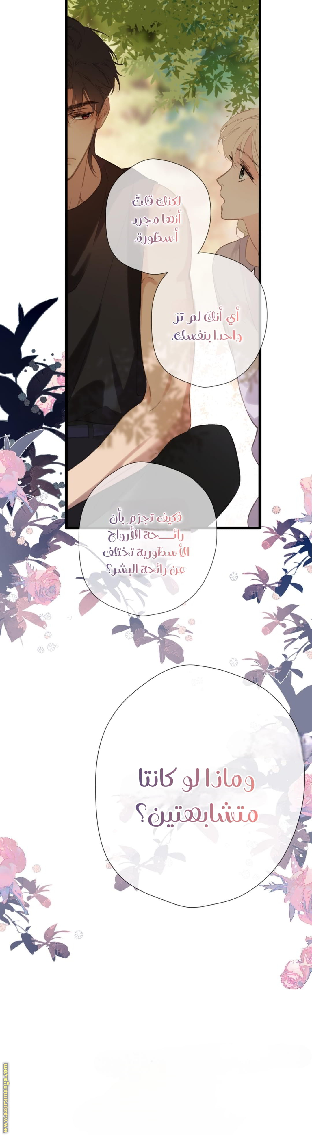 الصفحة 14